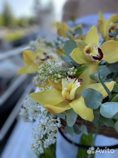 Корзина с орхидеями, орхидеи