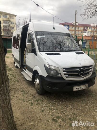 Пассажирские перевозки