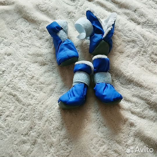 Вещи для маленьких собак
