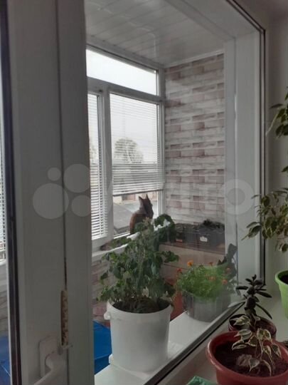 3-к. квартира, 69,5 м², 2/2 эт.