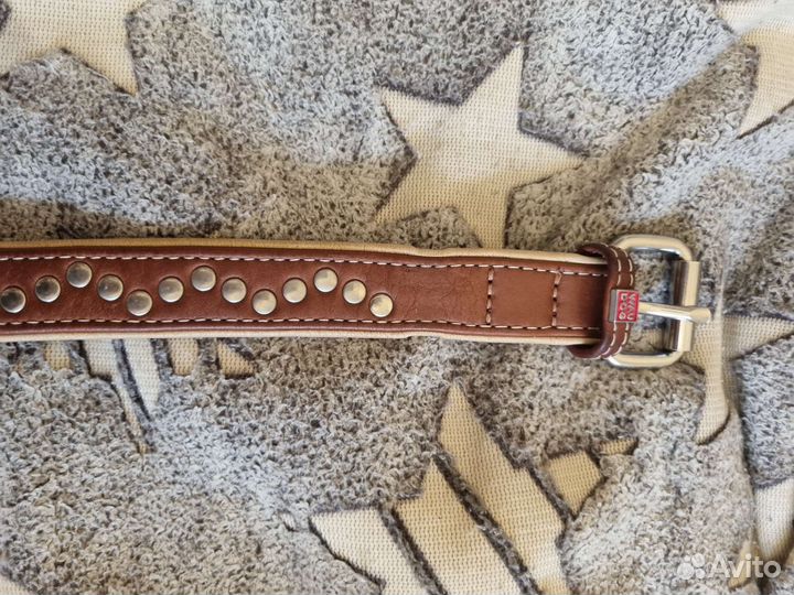 Шлейка ошейник комбез