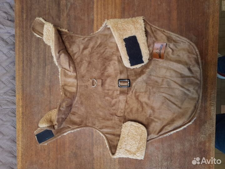 Одежда для собак