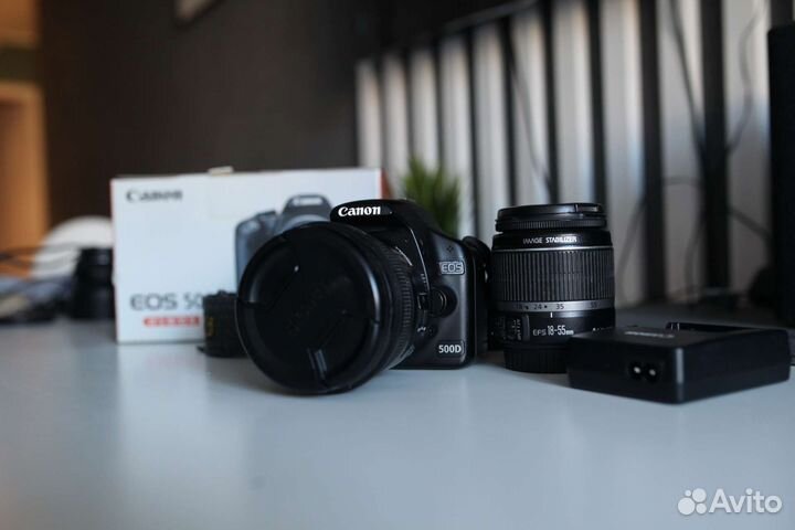 Canon eos 500d, объектив Sigma EX 50мм 1:4