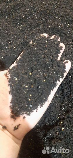 Черви для рыбалки дендробена