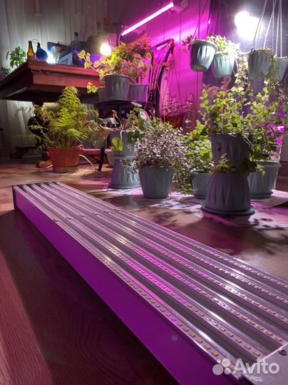 Фито лампа для растений промышленная 115 см