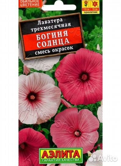 Гвоздика,виола,зем-ка,перец,астра