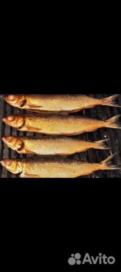 Продажа омуля