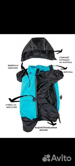 Одежда для собак