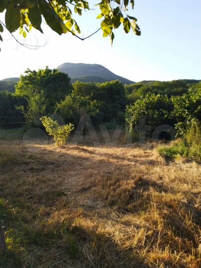 Участок 67 сот. (ИЖС)