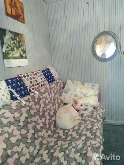 Передержка собак в частном доме