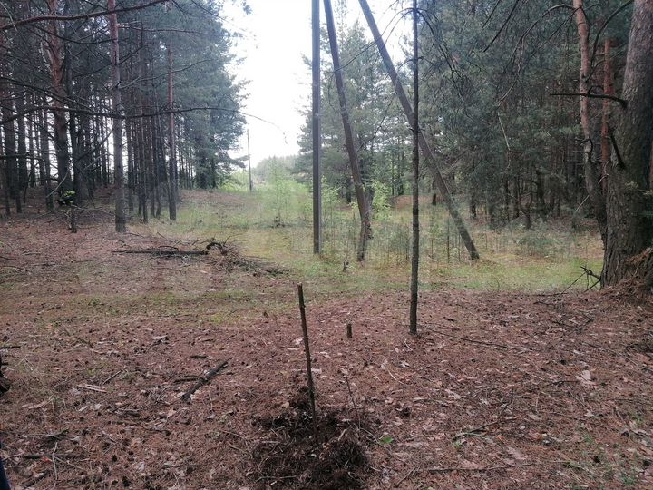 Участок 40 сот. (ИЖС)