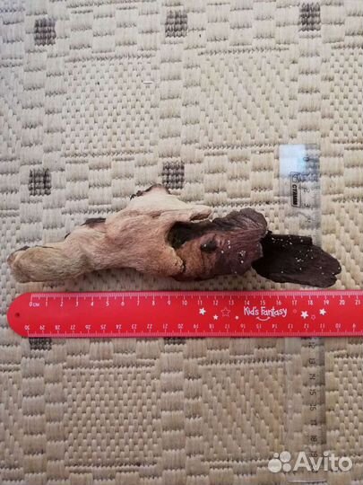 Фильтра. Ловушки. Держатель. Сачок