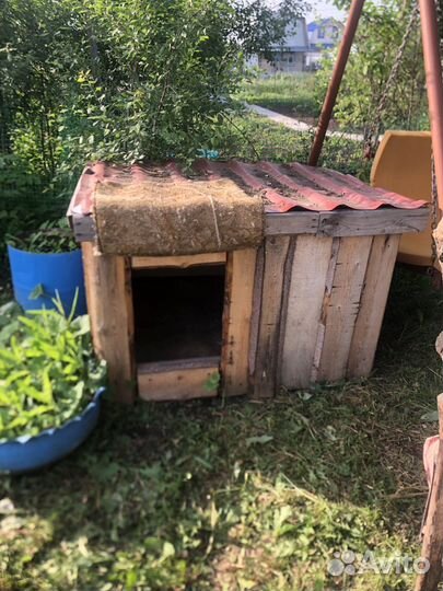 Будка для большой собаки