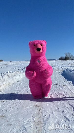 Аэрокостюм ростовой медведь розовый