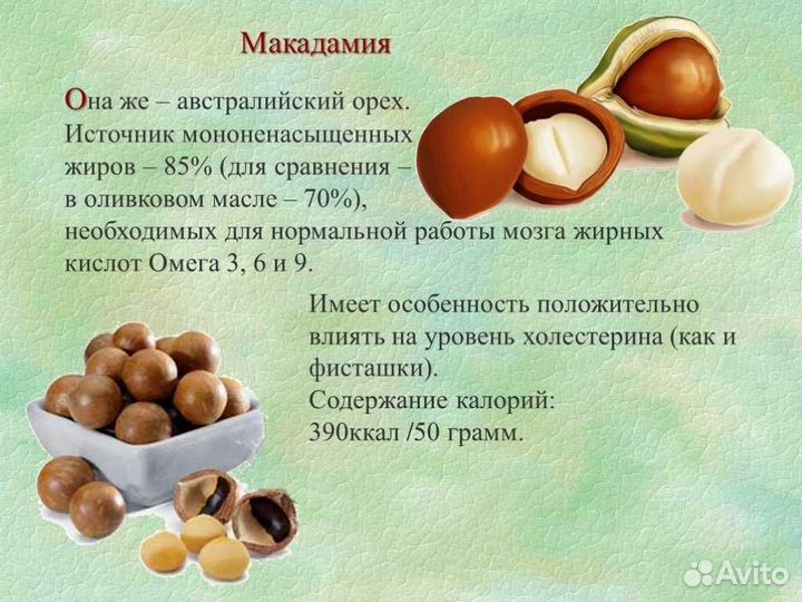 Макадамия орех