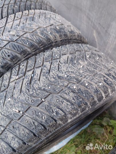 Yokohama Ice Guard IG65 205/55 R16