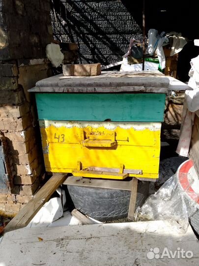Продам пасеку