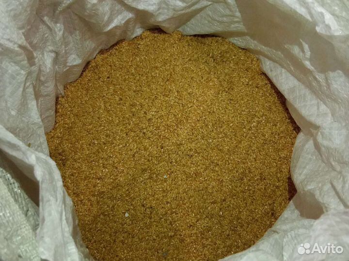 Лëн белый(семена)