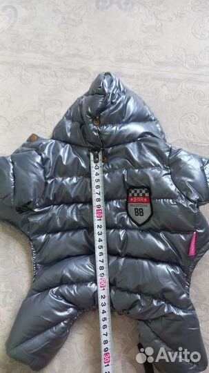 Одежда для маленьких собак