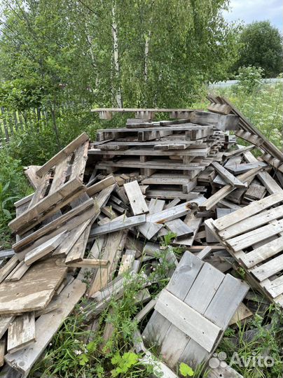 Дрова бесплатно самовывоз