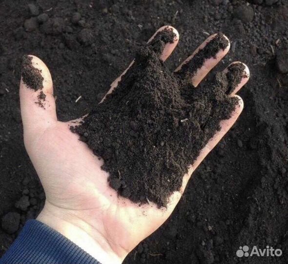 Перегной чернозем