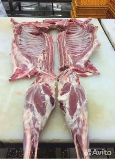 Мясо баранина свежая