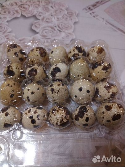 Домашние куриные перепелиные яйца