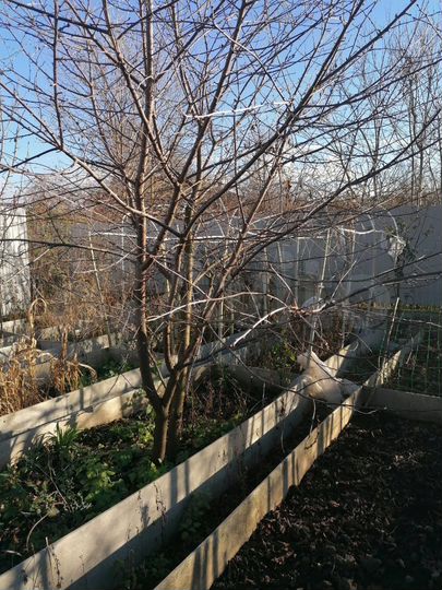 Дом 77,4 м² на участке 6 сот.