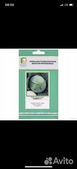 Семена капусты белокачанная универс f1