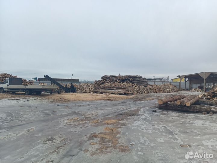 Дрова осиновые от 5м3