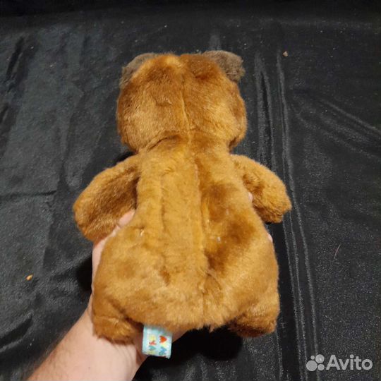 Мягкая игрушка Говорящий Мишка