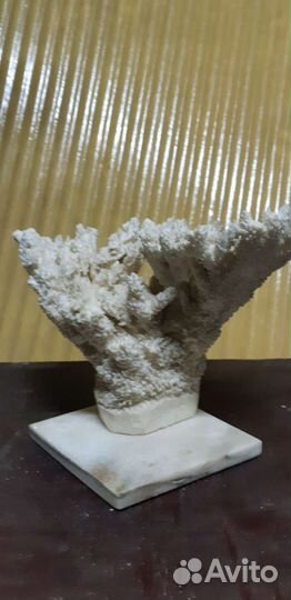 Корал для аквариума