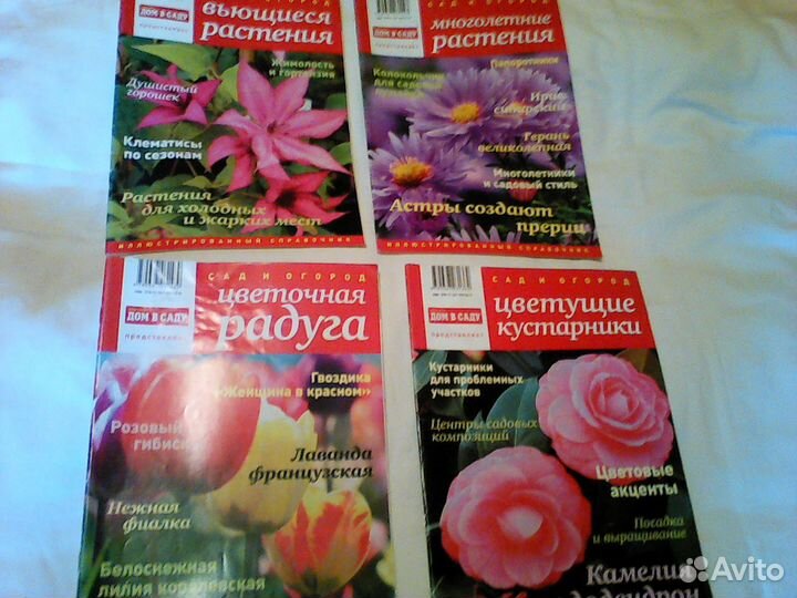 Цветоводство.Орхидеи. Букеты