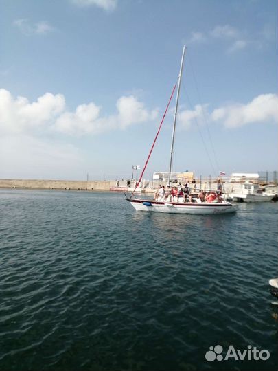 Морские прогулки