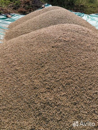 Корм для курей