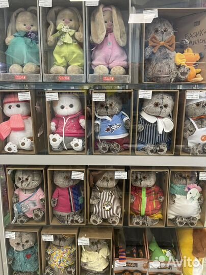 Басик в жилетке