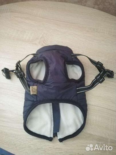 Одежда для собак