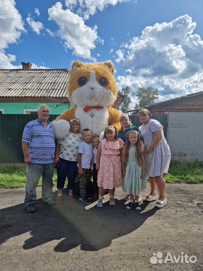 Аниматор на ваш праздник