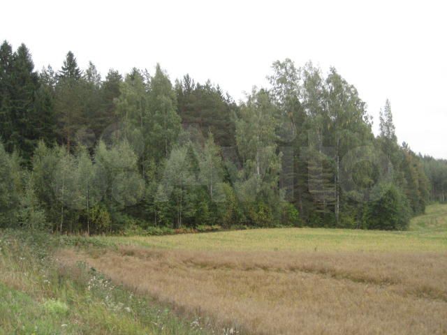 Участок 86 сот. (ИЖС)