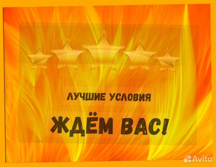 Наборщик заказов Без опыта Еженедельные выплаты