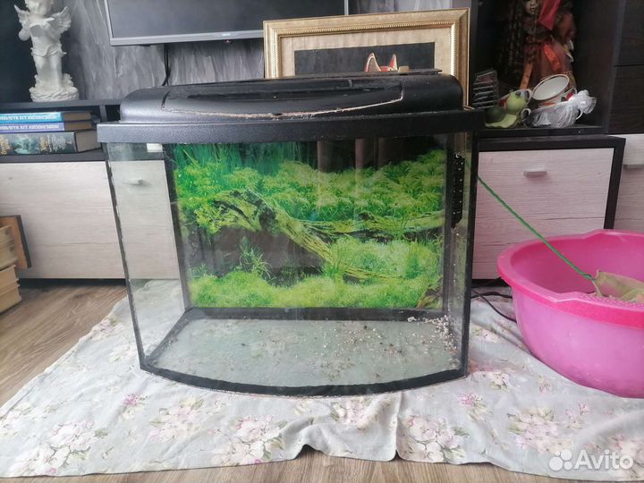 Аквариум