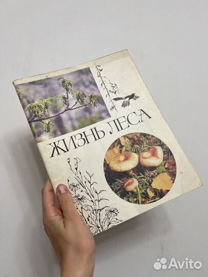 Редкие книги с ботаническими иллюстрациями