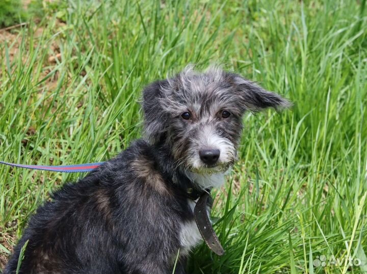 Манечка в семью