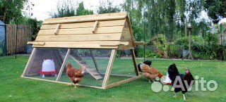 Курятник, вольер для собак, будки для собак, бруде