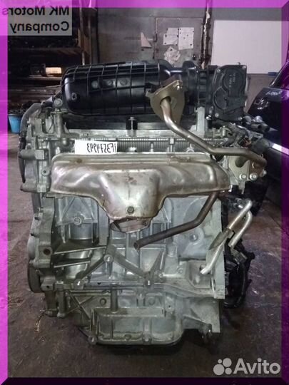 Двигатель 2,0 MR20DE Nissan Qashqai X-trail Serena