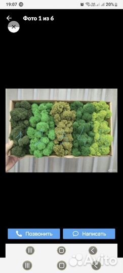 Мох микс в коробке