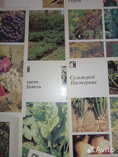 Два комплекта открыток СССР
