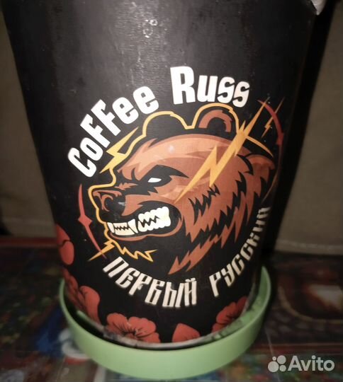 Молодая розетка фиалки