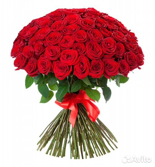 101 роза цветы букеты розы доставка