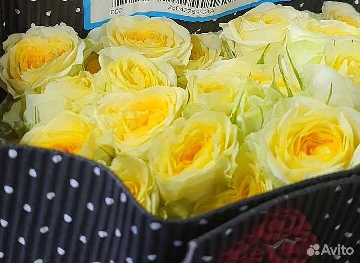 Поставка цветы оптом